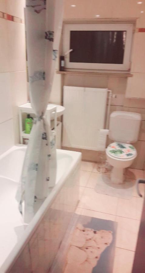 Belle Chambre Dans Un Quartier Calme 布鲁塞尔 外观 照片