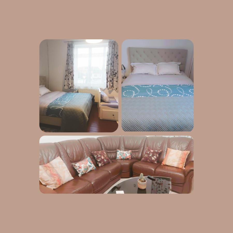 Belle Chambre Dans Un Quartier Calme 布鲁塞尔 外观 照片